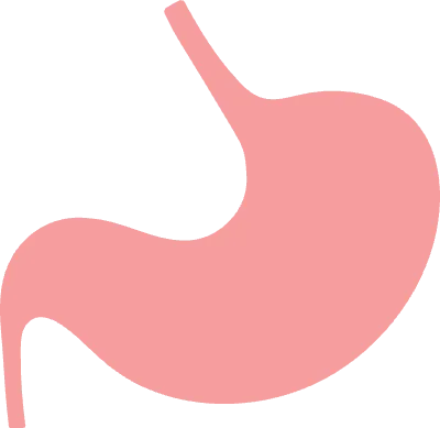 소화기관 일러스트