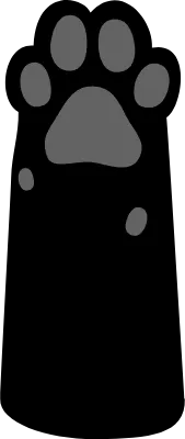 Black cat paws, black paw pads