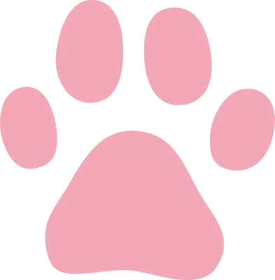 Vector illustration of a cat's pink paw pads