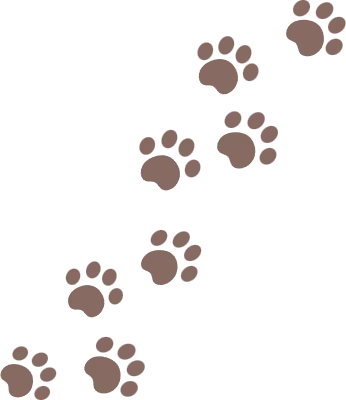 강아지 발자국