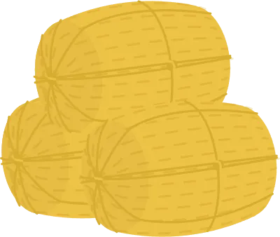 Illustration of rice, harvest of new rice, rice bale, ears of rice and grains of rice