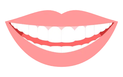 Dental, Illustration of image of healthy and clean teeth, lips and white teeth