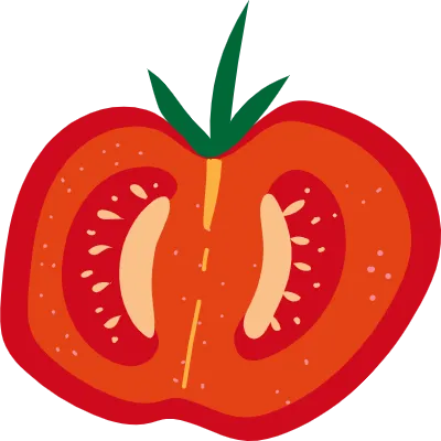 Hand drawn illustration of sliced half red tomato