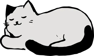 250224 고양이그림 005