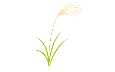 Clip art of autumn plant, silver grass