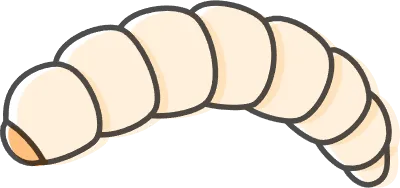 Larvae, insects that can be eaten by insects