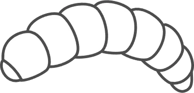 Larvae, insects that can be eaten by insects