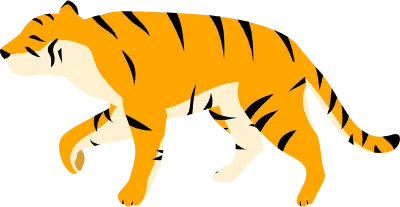 Simple tiger pose illustration, where you start walking with your right foot