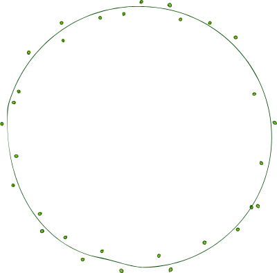Hand painted decorative borders, plants
