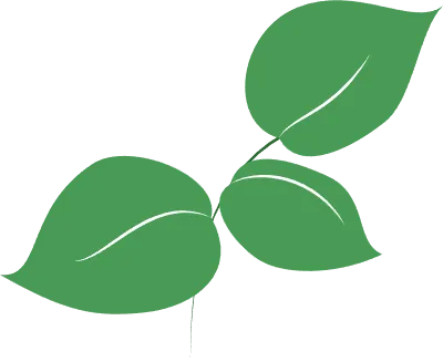 Green leaf frame material