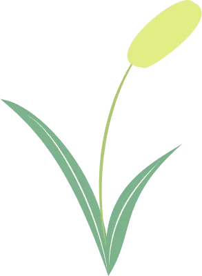 Green leaf frame material