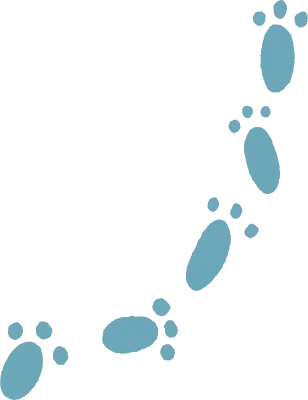 발자국, 동물 발자국, 발바닥, 눈위, 눈, 겨울, 귀여운 발자국