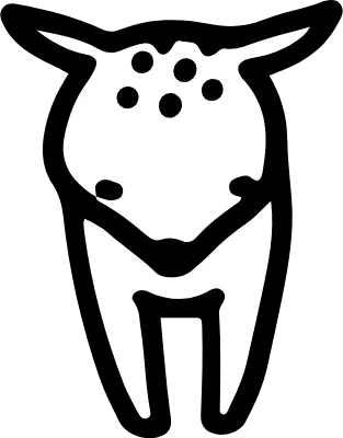 Animal line art fawn