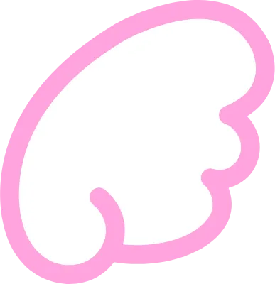 분홍색 날개 한쪽