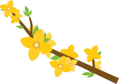 240402_개나리가지