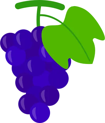포도2