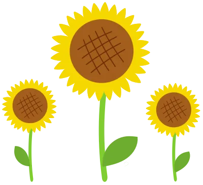 해바라기