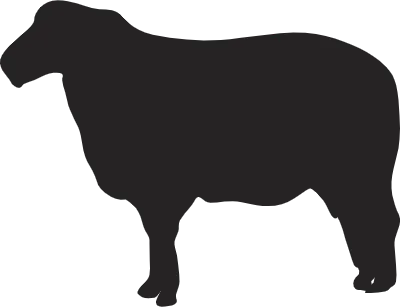 Sheep Icon