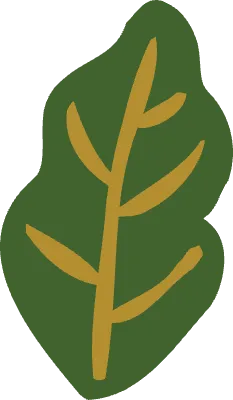 초록색 잎 일러스트