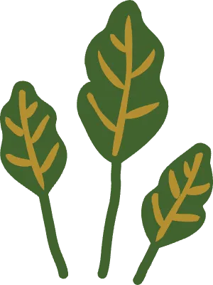 초록색 잎 일러스트