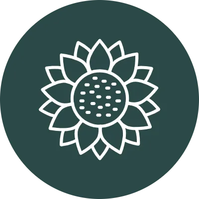 Sunflower Vector Icon Design