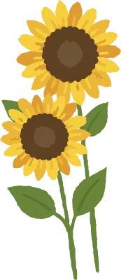 드로잉 해바라기