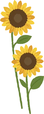 드로잉 해바라기