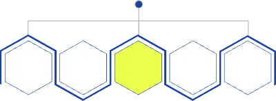 육각 조직도 865