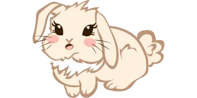 Cute Bunny Rabbit