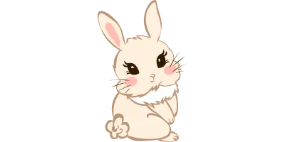 Cute Bunny Rabbit