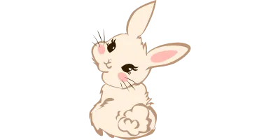 Cute Bunny Rabbit