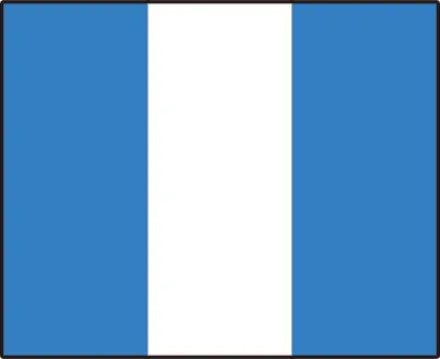 NATO Numeric Flag 9  Ship and Navigation Signal Flag Illustration