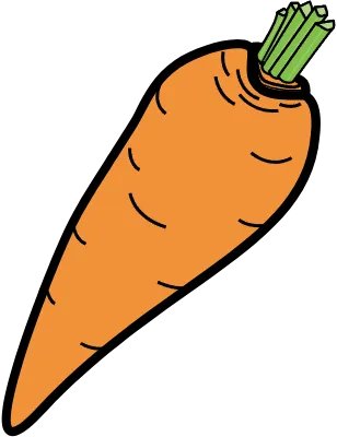 carrot_당근_맛있는당근_건강함_채소_뿌리채소_정말