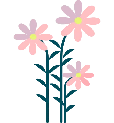 コスモスの可愛いシンプルな花