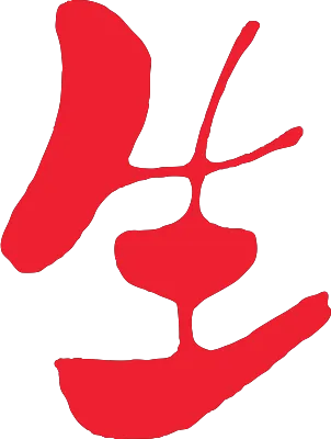 生漢字