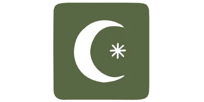 Crescent Moon and Star Icon on Green