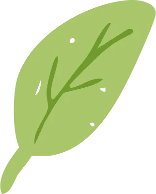 新緑が美しい桜の葉っぱ