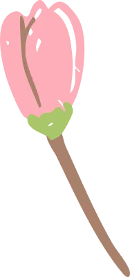 桜のつぼみのイラスト