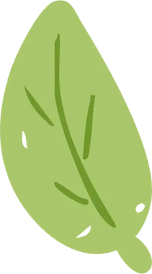 新緑が美しい桜の葉っぱ