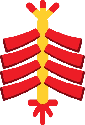 Chinese New Year Icon Set with Lion Dance Lanterns and Lucky Symbols