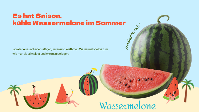 Sommerfrüchte Wie man eine saftige, reife und köstliche Wassermelone
