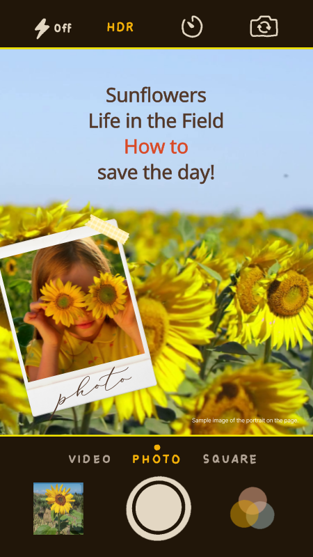 Sentimental cell phone camera frame with sunflowers on a yellow and ...