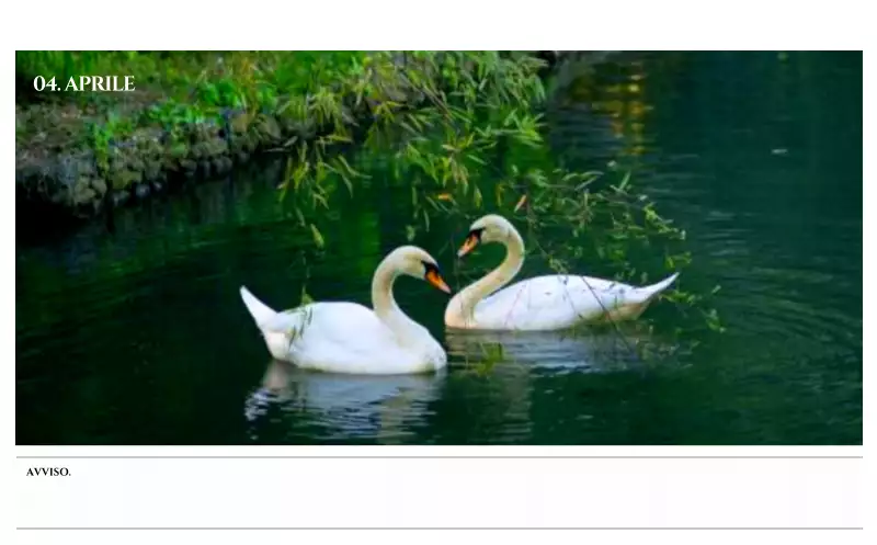 Calendario da parete in stile semplice con concetto di fotografia di viaggio emozionale in bianco e nero