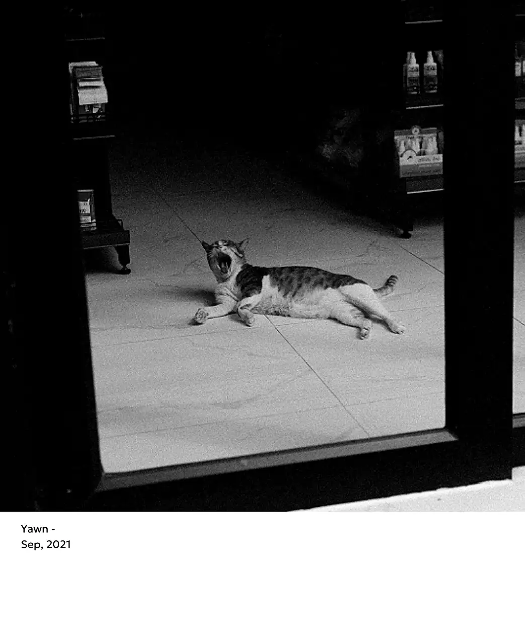 깔끔하고 도시적인 느낌의 사진 달력