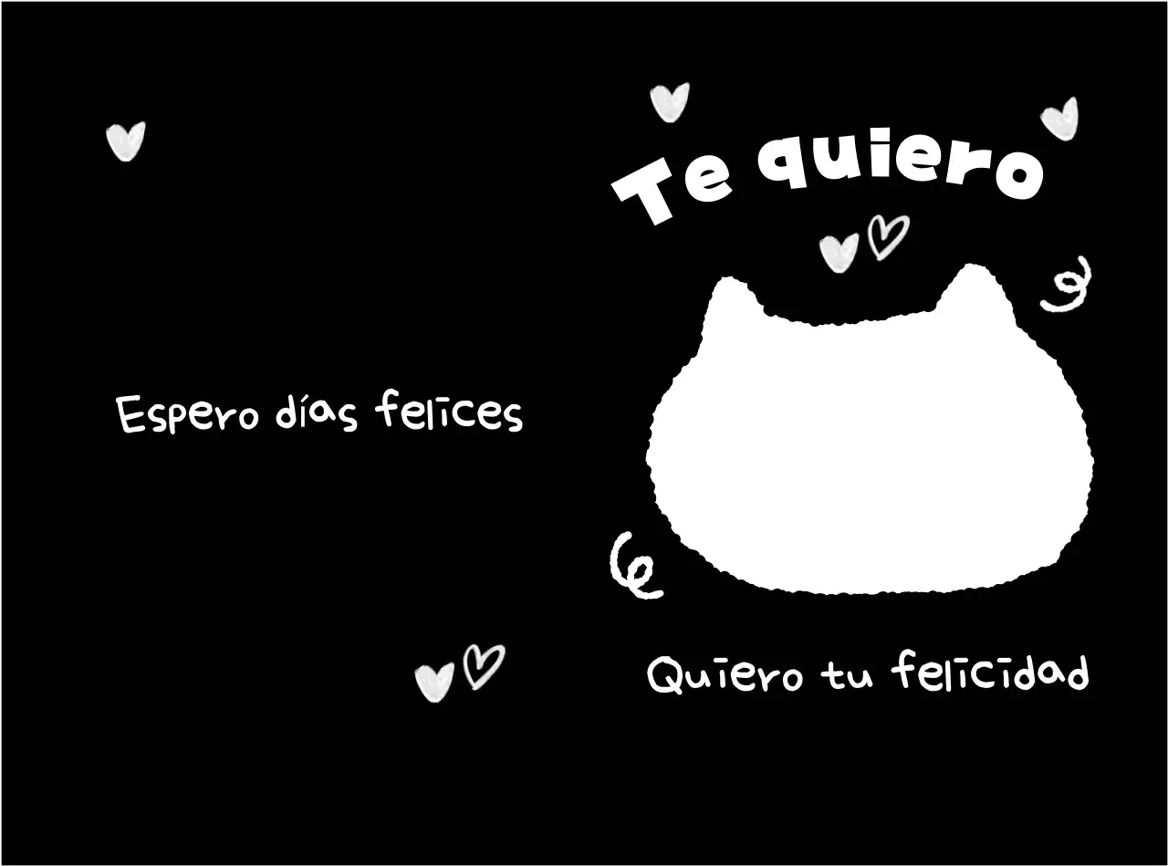 Porta Gato Simple Negro