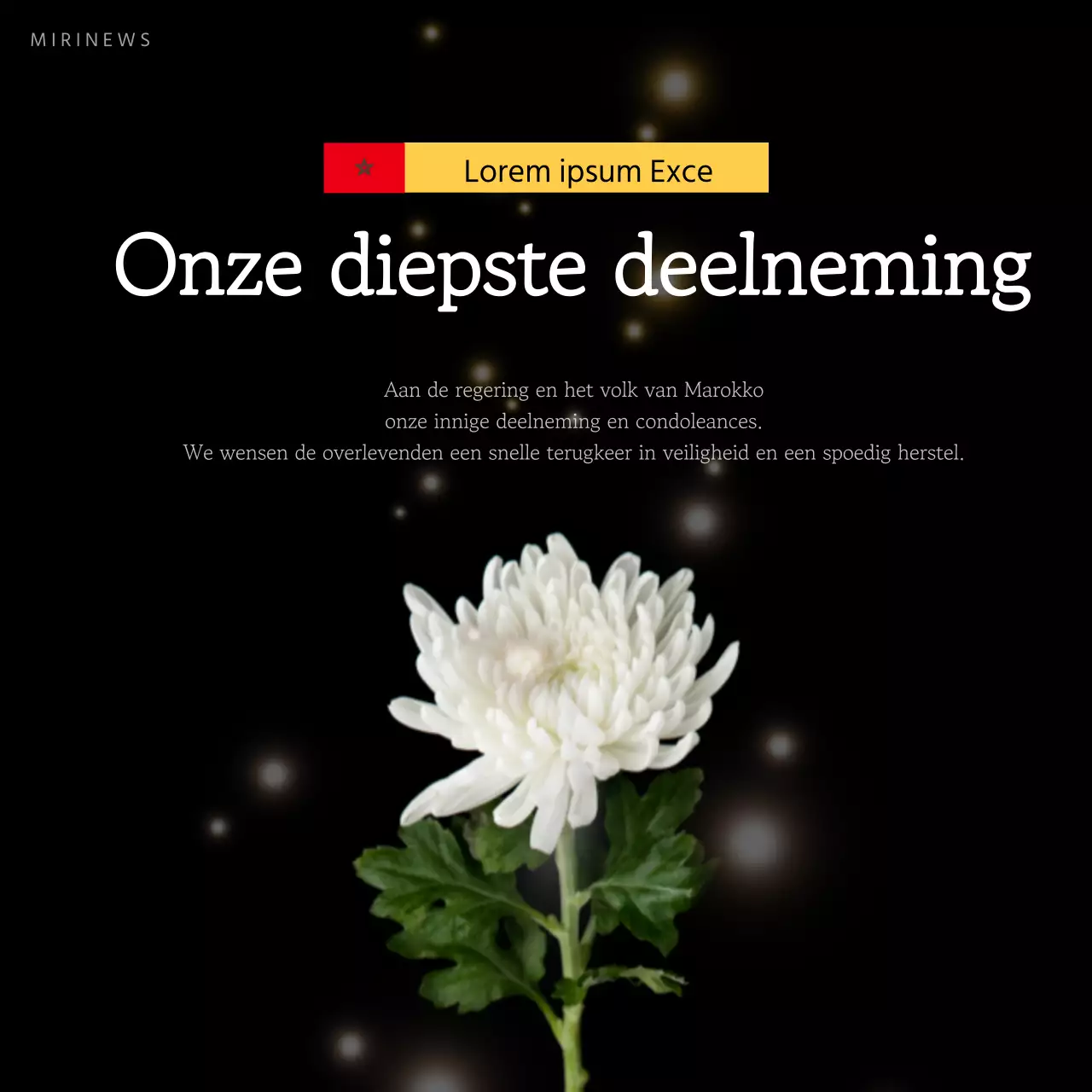 Een eenvoudig eerbetoon in zwart-wit