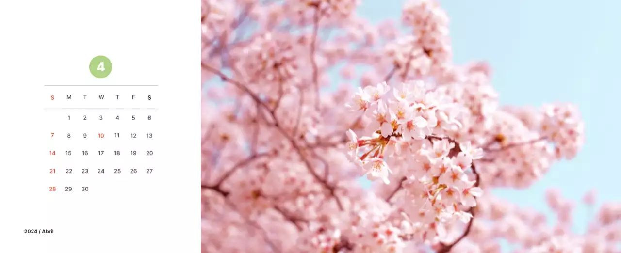 Fotografía de paisajes cálidos en colores pastel