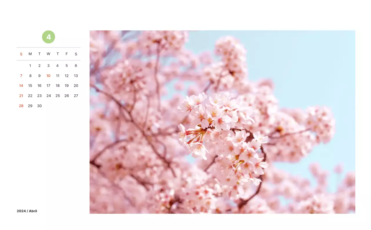 Fotografía de paisajes cálidos en colores pastel