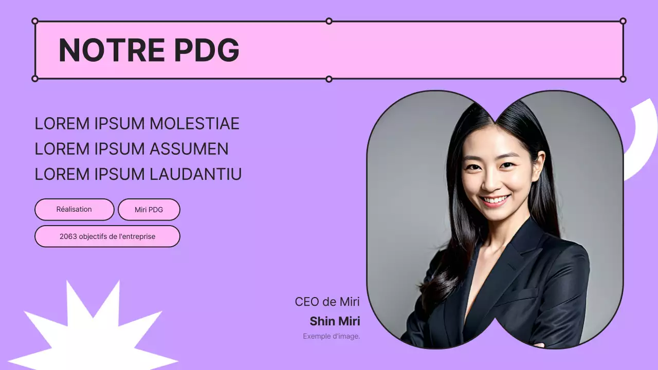 Un pitch d'entreprise rose et mauve kitsch avec un profil d'entreprise