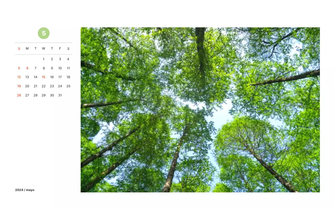 Fotografía de paisajes cálidos en colores pastel